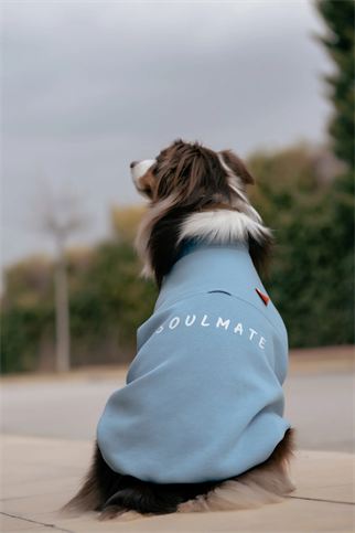 Asky&Erd Soulmate Sweatshirt | Mist Blue 