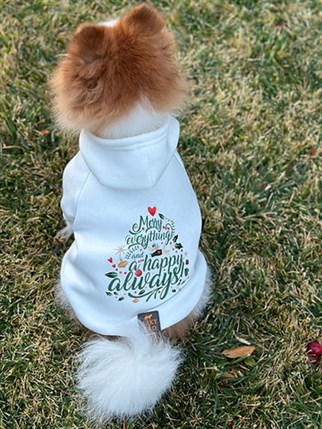 Asky&Erd Woofmas Collection | Merry Everything