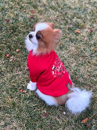 Asky&Erd Woofmas Collection | Woofmas Spirit