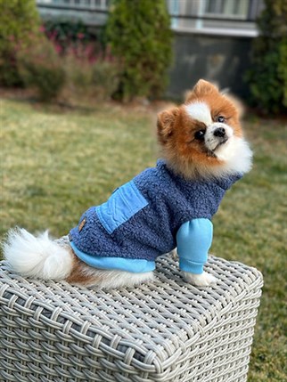 Asky&Erd Zippered Curly Vest | Blue