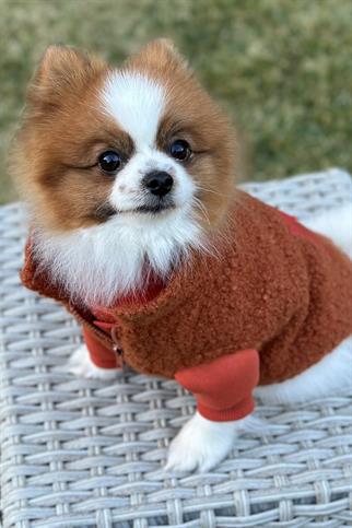 Asky&Erd Zippered Curly Vest | Brick Color