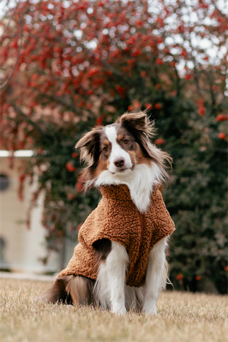 Asky&Erd Zippered Sherpa Vest | Caramel Cloud