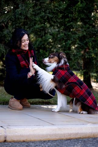 Askyxhuman | Red Plaid Scarf