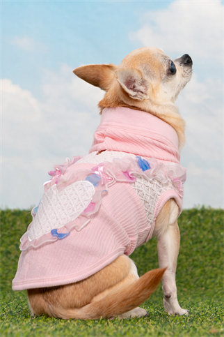 Pinkaholic New York Tiana Kapüşonlu Köpek Sweat Pembe 