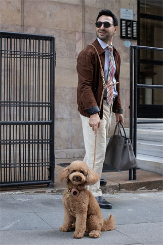 Zoe Pet Atelier Loop Crossbody Köpek Gezdirme Kayışı Espresso Kahverengi