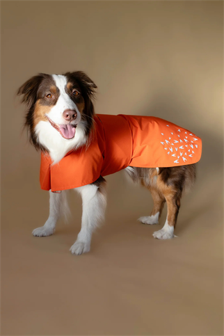 Seattle Raincoat | Amber Glow