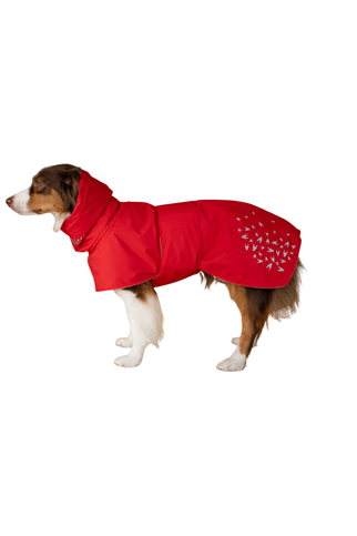 Asky&Erd Seattle StormGuard Scarlet Sand Köpek Mont