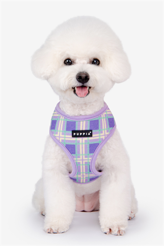 Jaylen Harness A Köpek Göğüs Tasması Mor 