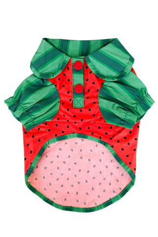 Lolidogs Köpek Gömleği Watermelon Girl