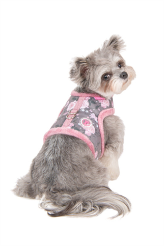 Pinkaholic New York Calla Pinka Harness Köpek Göğüs Tasması Grey