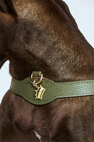 Coronet Charm Tasma Aksesuarı