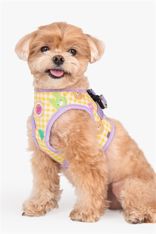 Pinkaholic New York Annabelle Vest Harness Göğüs Tasması Mor