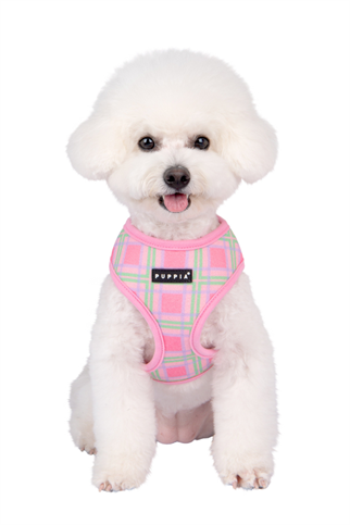 Jaylen Harness A Köpek Göğüs Tasması Pembe 