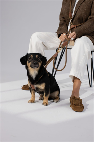 Loop Harness In Caramel Brown