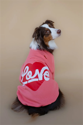 Asky&Erd Love Sweatshirt Coral Rose