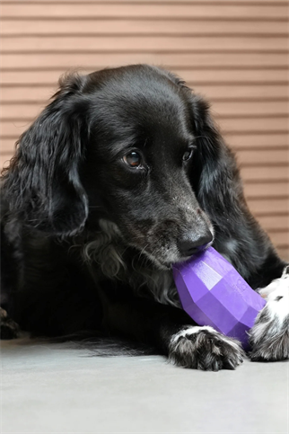 Zee.Dog | Super Veggıez Eggplant