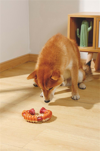 M-PETS CARNIVORE DOG TOY RING BONE PASTIRMA AROMALI