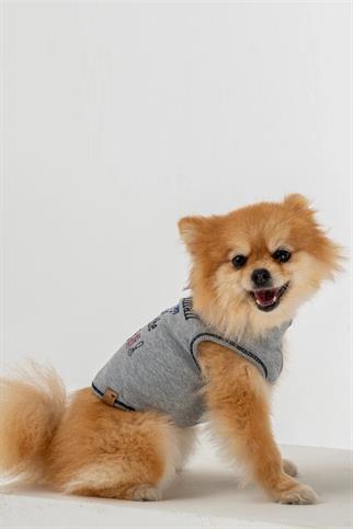 BCBC Boss Köpek T-Shirt