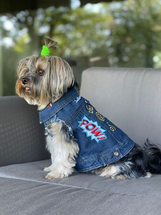 BCBC Game Of Love Denim Jacket Köpek Ceket