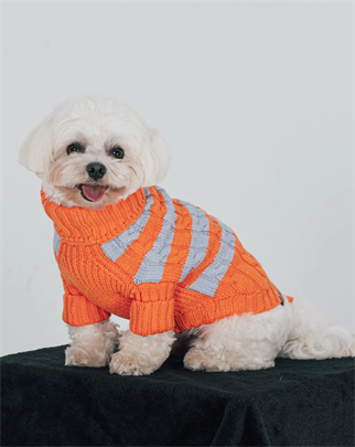 BCBC Liny Köpek Kazak