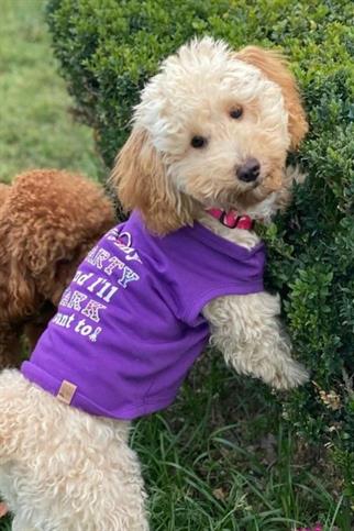 BCBC Party Köpek T-Shirt Mor