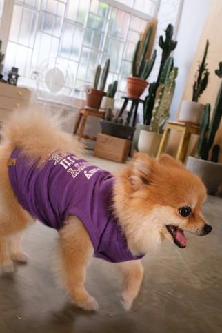 BCBC Party Köpek T-Shirt Mor