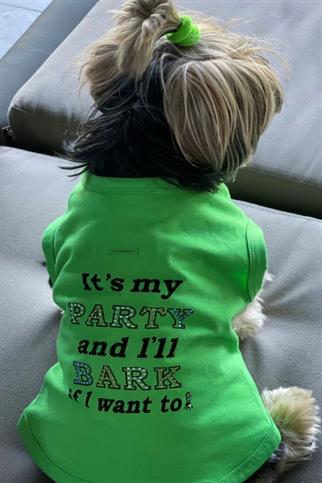 Bcbc Party Dog T-Shirt Green