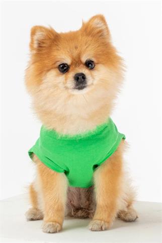 Bcbc Party Dog T-Shirt Green