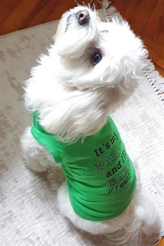 Bcbc Party Dog T-Shirt Green