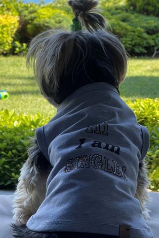 BCBC Single Köpek T-Shirt Gri