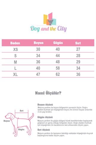 BCBC Single Köpek T-Shirt Gri