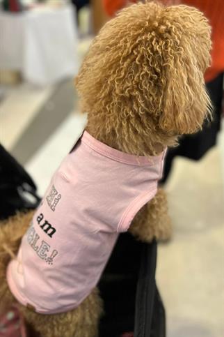 BCBC Single Köpek T-Shirt Pembe
