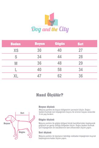 BCBC Single Köpek T-Shirt Turuncu