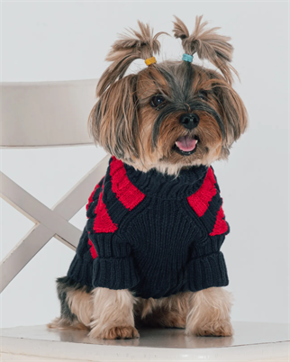 BCBC Speacy Köpek Kazak