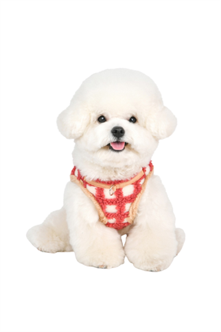 Puppia Stefan  Köpek Göğüs Tasması - Mercan