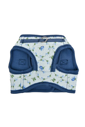 Florian Harness B Köpek Göğüs Tasması Mavi