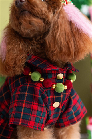 Lolidogs Köpek Kolyesi Xmas Velvet