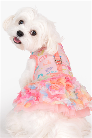 Pinkaholic New York Berthe Elbise Göğüs Tasması Pembe