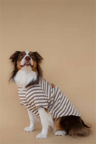 Asky&Erd Heritage Stripe Tshirt Oat Latte