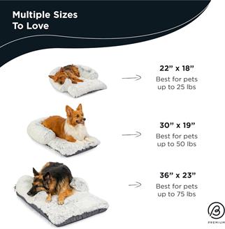 Best Friends by Sheri Nap Mat Dog Bed, Mattress - Washable Dog Bed Cage Pad with Removable Cover, Frost, Medium, 30
