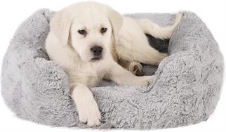 Best Friends by Sheri Soothe & Snooze Lounge Lux Memory Foam Rectangular Dog Bed, Washable, Gray, 50.8 x 38.1 x 20.3 centimeters