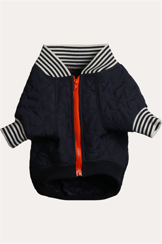 Bomber Jacket | Star