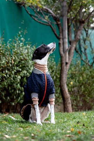 Bomber Jacket | Star