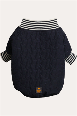 Bomber Jacket | Star