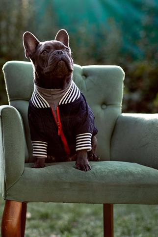 Bomber Jacket | Star