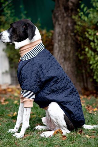 Bomber Jacket | Star