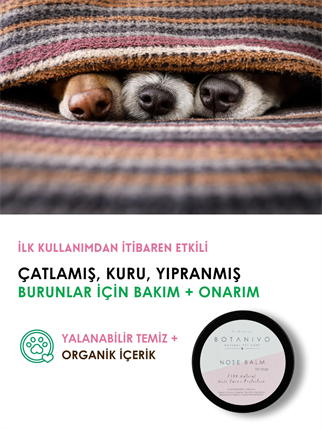 Botanivo Nose Balm Natural Dog Nose Care.