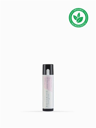 Botanivo Nose Balm Stick Natural Dog Nose Care Walk