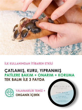 Botanivo Paw Balm Natural Dog Pati Protection And Maintenance Wall
