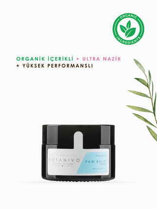 Botanivo Paw Balm Natural Dog Pati Protection And Maintenance Wall